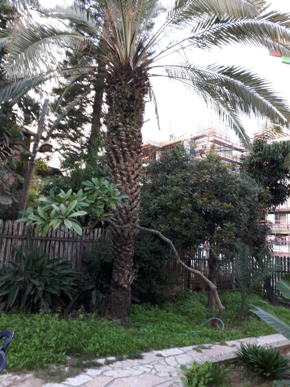 Hotel Etty'S House Petach Tikva Exterior foto