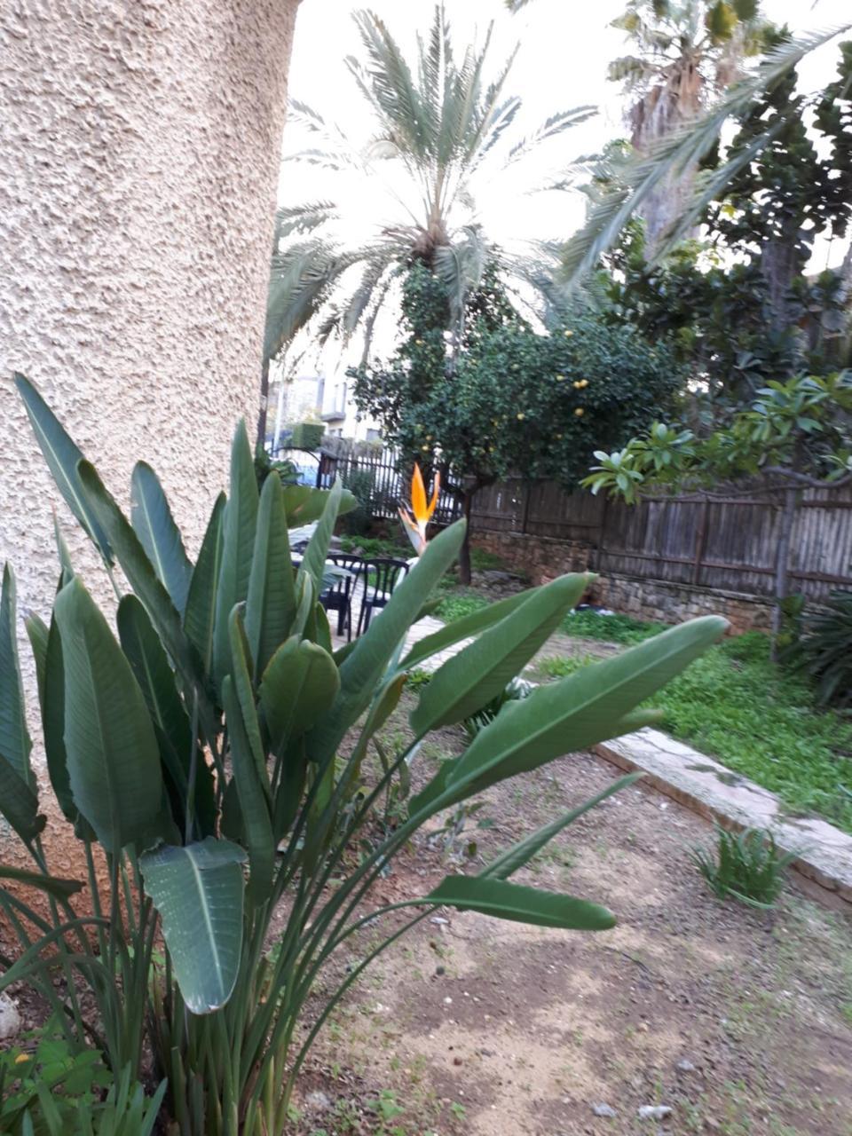 Hotel Etty'S House Petach Tikva Exterior foto